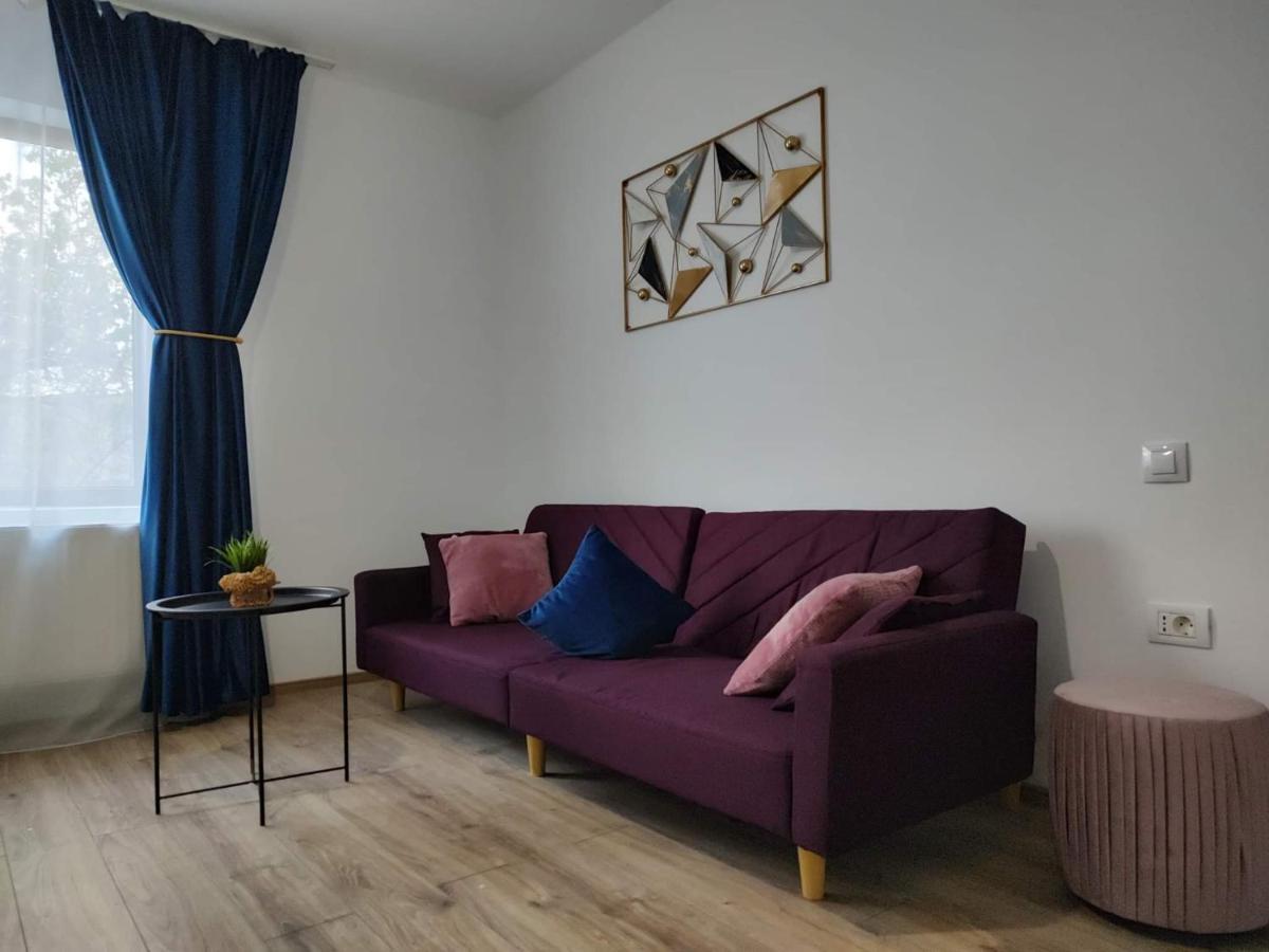Dania&Petru Residence Tîrgu Ocna Extérieur photo