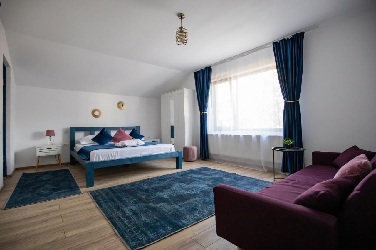Dania&Petru Residence Tîrgu Ocna Extérieur photo